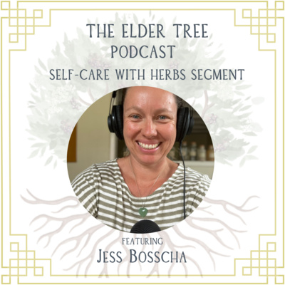 148. A year in review of Self Care with Herbs