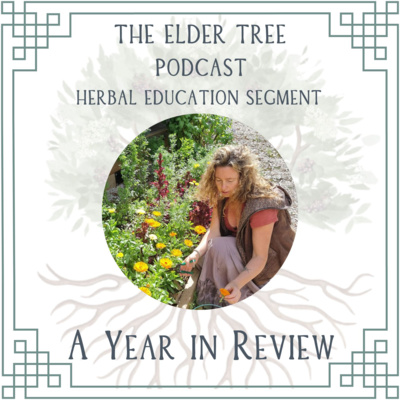 149. Year in Review on Herbal Education