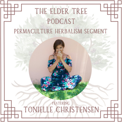 150. A year in Review, Our Spring Sun Cycle: Tonielle Christensen on Permaculture Herbalism