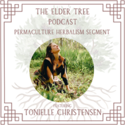 153. Patterns in Nature, Patterns in Practice: A Permaculture Herbal Conversation with Tonielle Christensen (and new co-host Taj Scicluna)