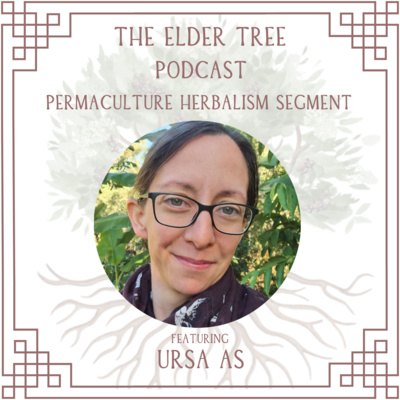 157. Homesteading & Wild Fermentation with Ursa As: Permaculture Herbalism