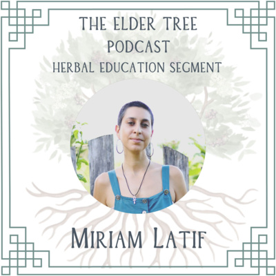 156. Changing the Wellness Paradigm: Miriam Latif on Herbal Education