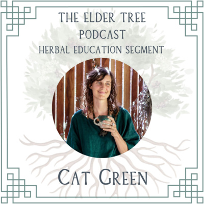 160. Chamomile- Gentle Doesn't Mean Weak: Cat Green on Herbal Education