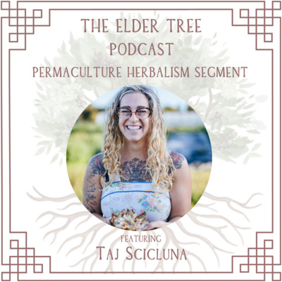 161. Medicinal Resilience & Essential Permaculture with Taj Scicluna
