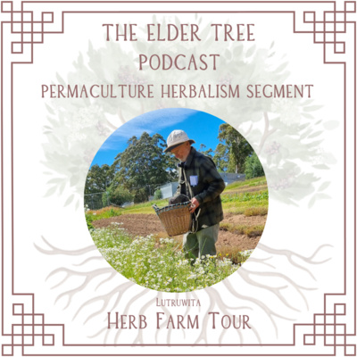 169. Lutruwita Herb Farm Tour: Taj Scicluna on Herb Farming 