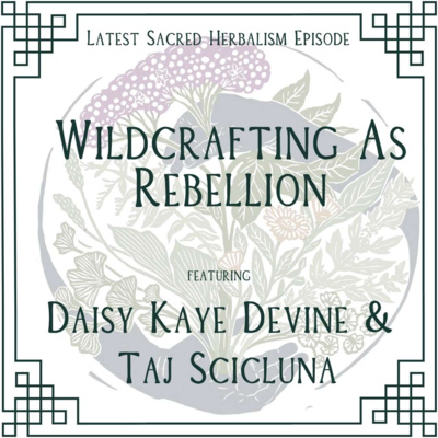 174. Wildcrafting As Rebellion: Sacred Herbalism