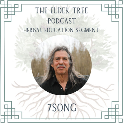 172. Street Medics and Free Clinics: 7song on Herbal Education