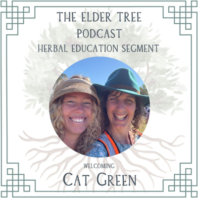 176. Herbs for Uncertain Times: A Humorous Welcome to Cat Green on Herbal Education