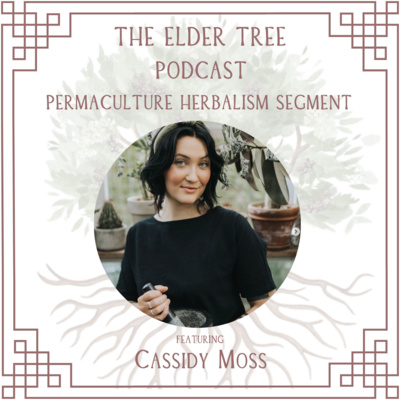 177. Cultivating Medicine: Ethics and Practice with Cassidy Moss - Permaculture Herbalism