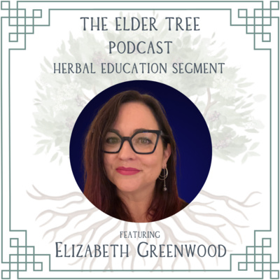 180. The Lost Language of Herbal Medicine: Elizabeth Greenwood on Herbal Education