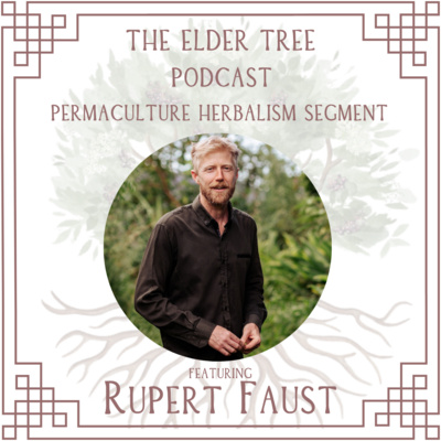 181. Getting Grounded with Permaculture Action: Rupert Faust on Permaculture Herbalism