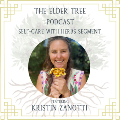 183. Held by Herbs During Times of Transformation: Kristin Zanotti on Self Care with Herbs