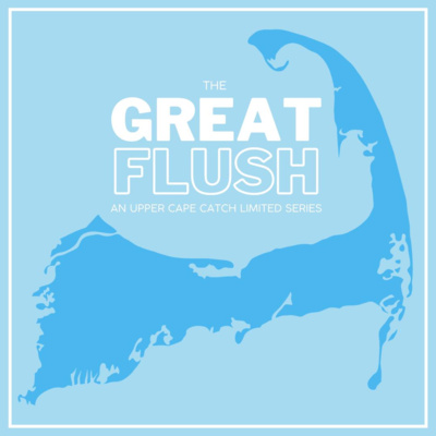 The Great Flush: What's The Plan? 