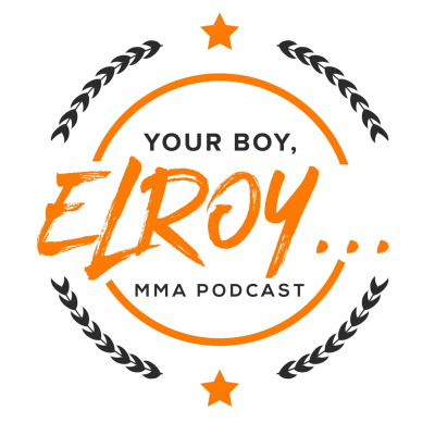 UFC 255 Review