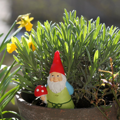 Garden Gnomes
