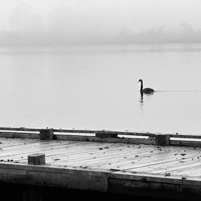 Cold Swimming - Huon Writes 2