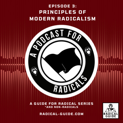A Podcast for Radicals: Episode 3 Principles of Modern Radicalism