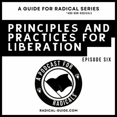 A Podcast for Radicals Episode 6: Principles and Practices for Liberation
