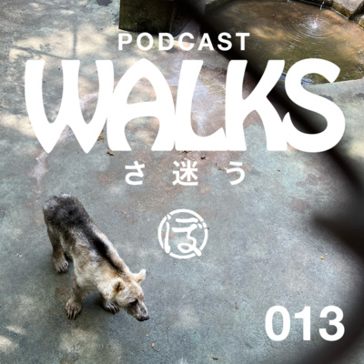 Currently playing episode