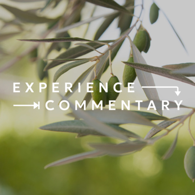 Experience Commentary | The Beatitudes – The Merciful