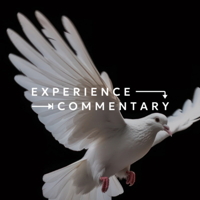 Experience Commentary | The Beatitudes – The Peacemakers