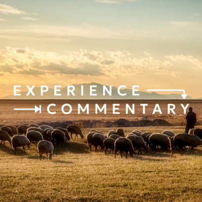 Experience Commentary | Decision-Making and Ethics – Wise Counsel