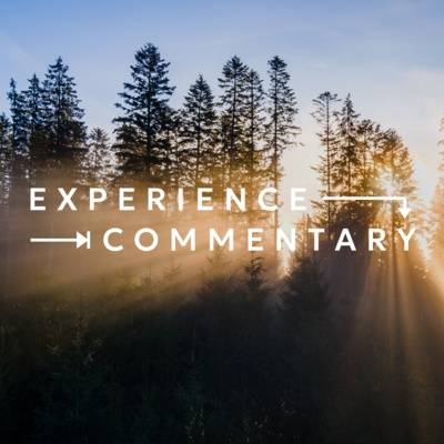 Experience Commentary | Decision-Making and Ethics – The Holy Spirit