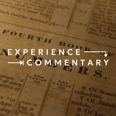 Experience Commentary | Why The Old Testament Matters – Lessons from Numbers