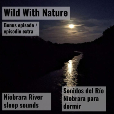 Bonus: Niobrara River sleep sounds (sonidos de la naturaleza para dormir) - 10 hours of ambient nighttime audio with crickets, soothing water sounds, eastern screech-owl song - grillos y un tecolote