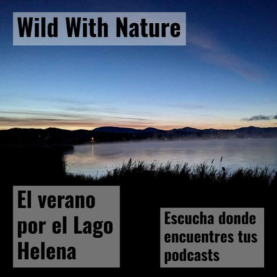 De avetoros y golondrinas ribereñas: el verano por el Lago Helena