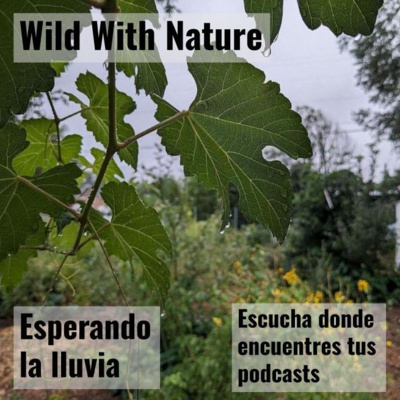 Esperando la lluvia: sobreviviendo el cambio climático