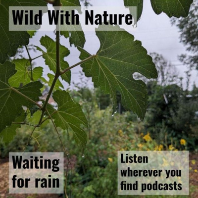 Waiting for rain: making it through climate change