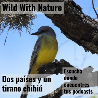 Atravesando la distancia: dos países y un tirano chibiú