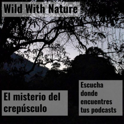 El misterio del crepúsculo: las aves y la agricultura sustentable