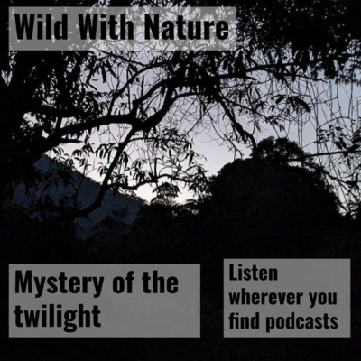 Mystery of the twilight: birds at dusk and sustainable agriculture