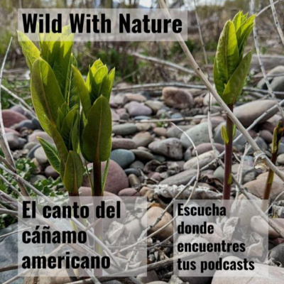 El canto del cáñamo americano: conociendo un mundo vegetal