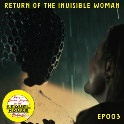 SqHs003 The Return of the Invisible Woman
