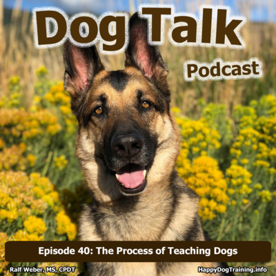The Process of Teaching Dogs