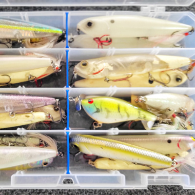 Why 90% of Beginners Get Topwater Fishing WRONG (#241)