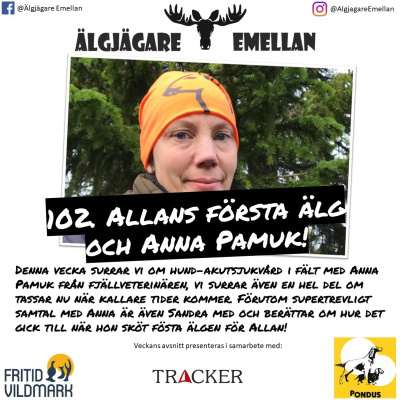 102. Allans första älg & Anna Pamuk episode artwork