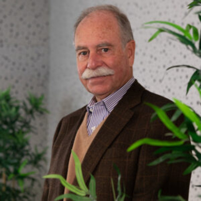 Eduardo Oliveira e Sousa: “Montenegro trará as florestas de volta para a agricultura”