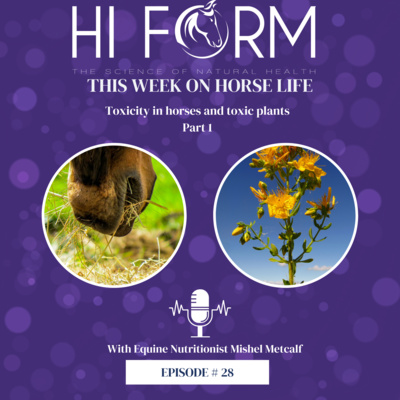 # 28 Toxicity in horses and Toxic Plants Part 1