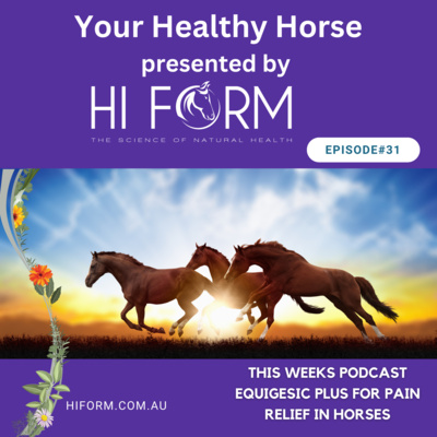# 31 Equigesic Plus for Pain Relief