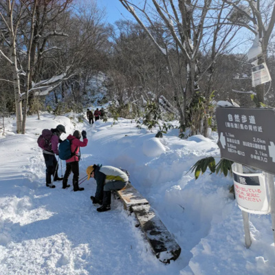 冬の北海道、楽しめてますか？冬の藻岩山は初心者でも登れそうです　#413