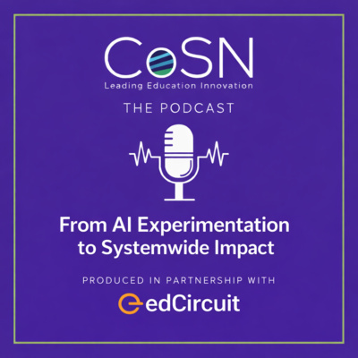 From AI Experimentation to Systemwide Impact
