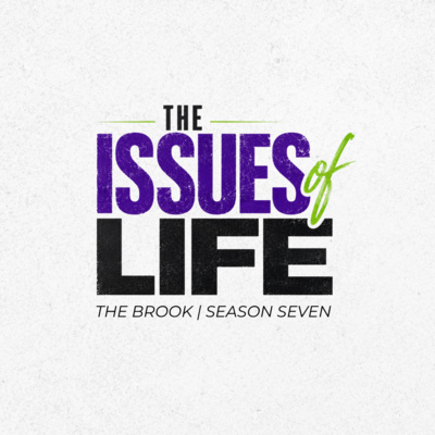 Currently playing episode