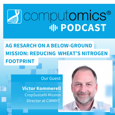 Ag Research on a Below-Ground Mission: Reducing Wheat’s Nitrogen Footprint