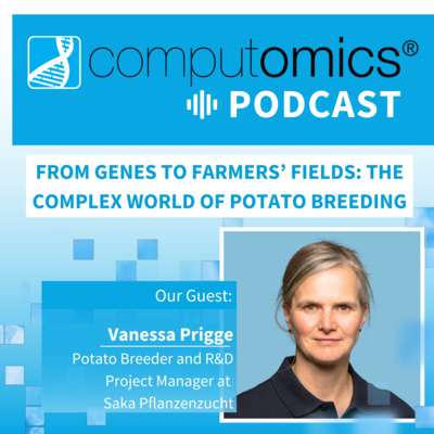 From Genes to Farmers’ Fields: The Complex World of Potato Breeding