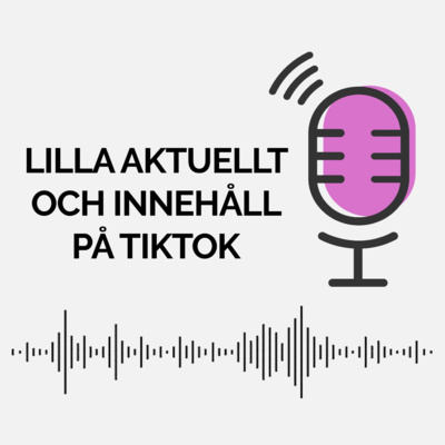 Så jobbar Lilla Aktuellt med TikTok