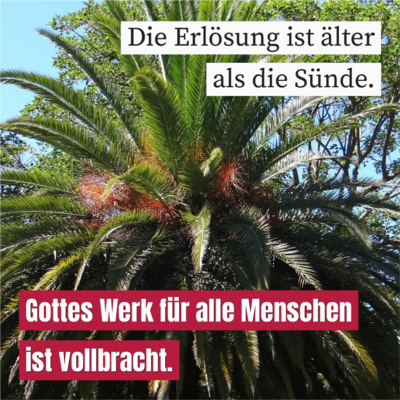 Jesus kommt nach Jerusalem